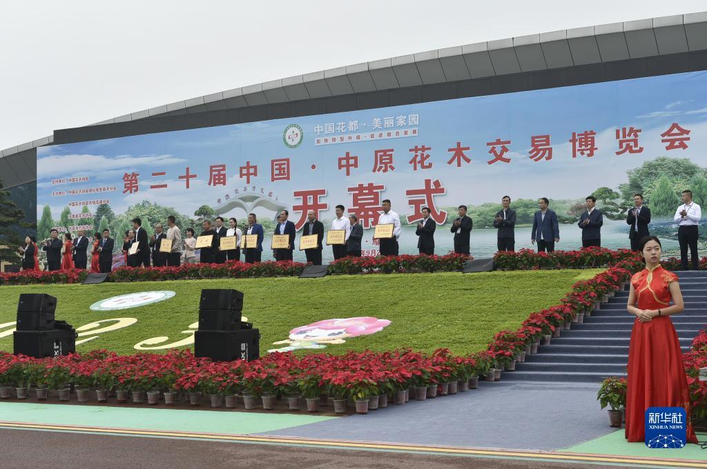 娱乐平台用户登录拉菲
